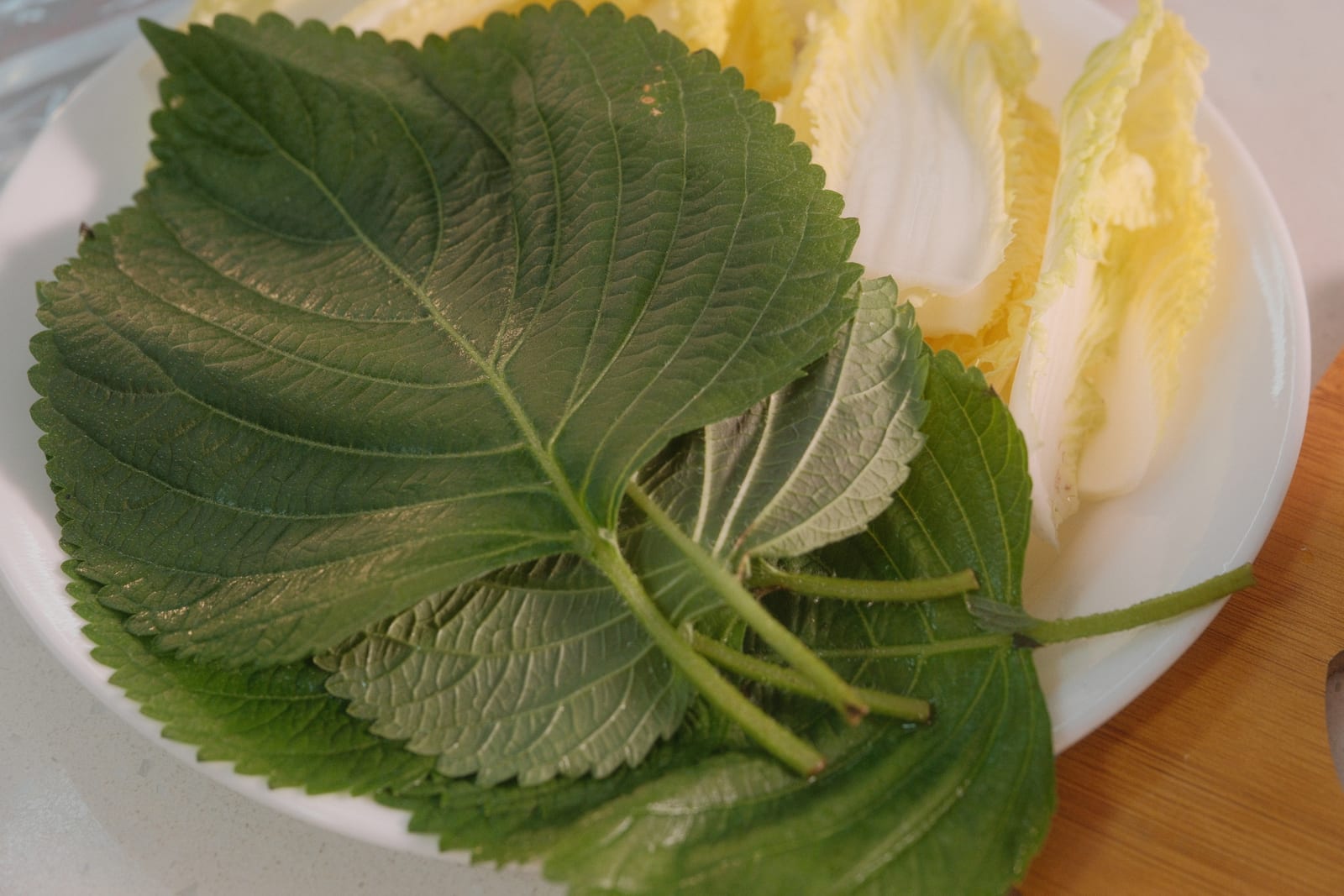Perilla leaves and napa cabbage prepared for bossam gimbap