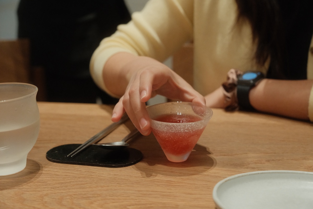 Refreshing carbonated juice starter